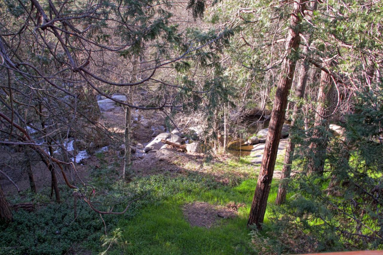 Вілла Sierra Springs Окгерст Екстер'єр фото