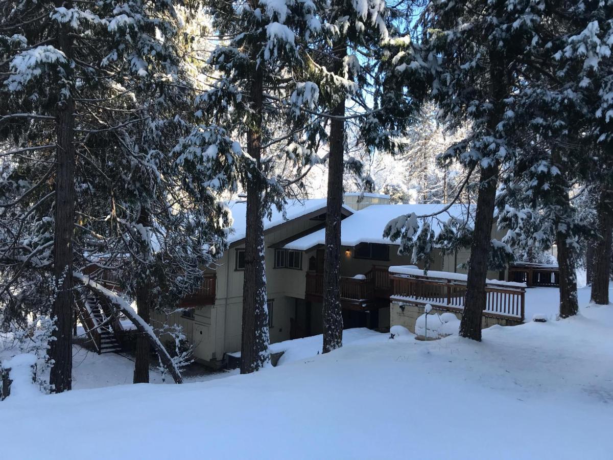 Вілла Sierra Springs Окгерст Екстер'єр фото